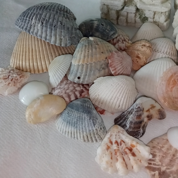 Fish Tank Accessories Sea Shells & Small Colorful Rocks Roman Column Aquarium - Picture 4 of 8